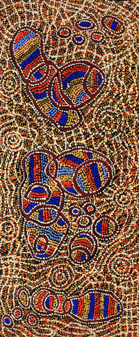 Aboriginal Artwork by Ormay Nangala Gallagher, Ngapa Jukurrpa (Water Dreaming) - Mikanji, 107x46cm