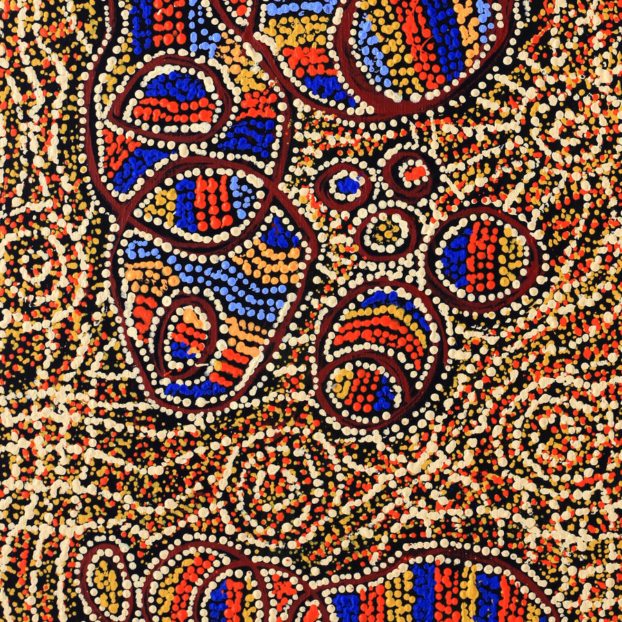 Aboriginal Artwork by Ormay Nangala Gallagher, Ngapa Jukurrpa (Water Dreaming) - Mikanji, 107x46cm