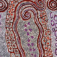 Aboriginal Artwork by Ormay Nangala Gallagher, Yankirri Jukurrpa (Emu Dreaming) - Ngarlikurlangu, 107x61cm