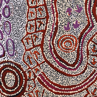 Aboriginal Artwork by Ormay Nangala Gallagher, Yankirri Jukurrpa (Emu Dreaming) - Ngarlikurlangu, 107x61cm