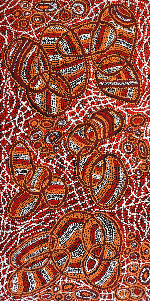 Aboriginal Artwork by Ormay Nangala Gallagher, Ngapa Jukurrpa (Water Dreaming) - Mikanji, 122x61cm