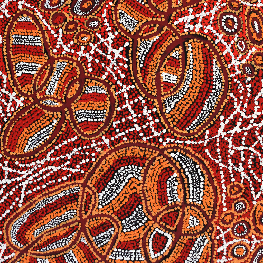Aboriginal Artwork by Ormay Nangala Gallagher, Ngapa Jukurrpa (Water Dreaming) - Mikanji, 122x61cm
