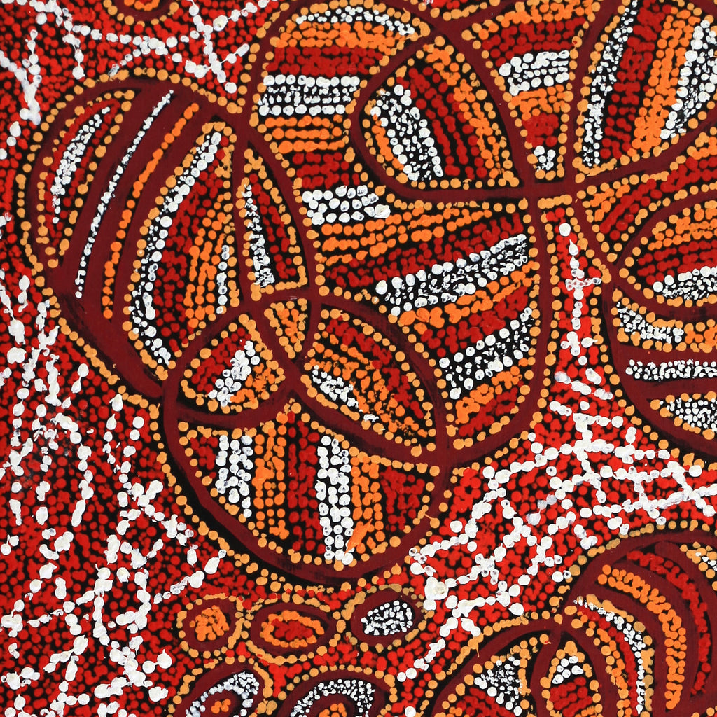 Aboriginal Artwork by Ormay Nangala Gallagher, Ngapa Jukurrpa (Water Dreaming) - Mikanji, 122x61cm
