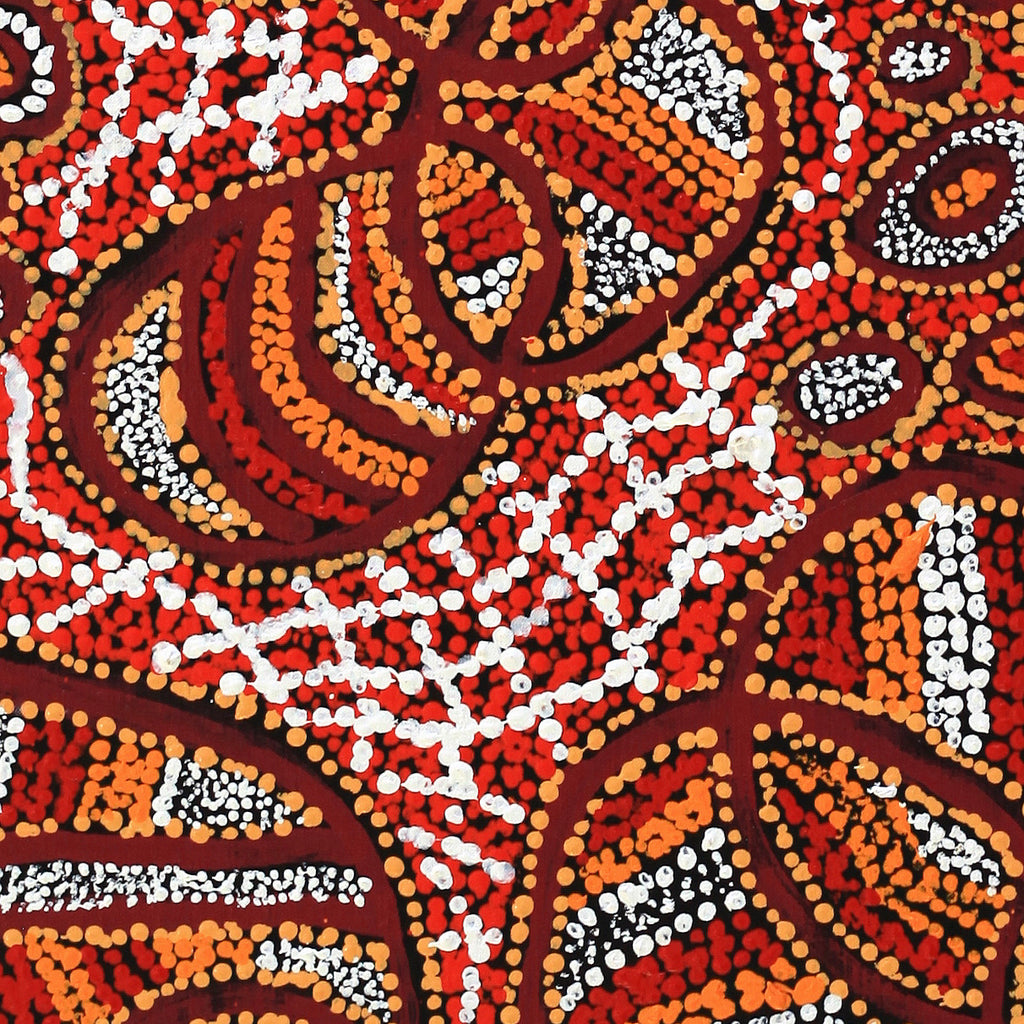 Aboriginal Artwork by Ormay Nangala Gallagher, Ngapa Jukurrpa (Water Dreaming) - Mikanji, 122x61cm