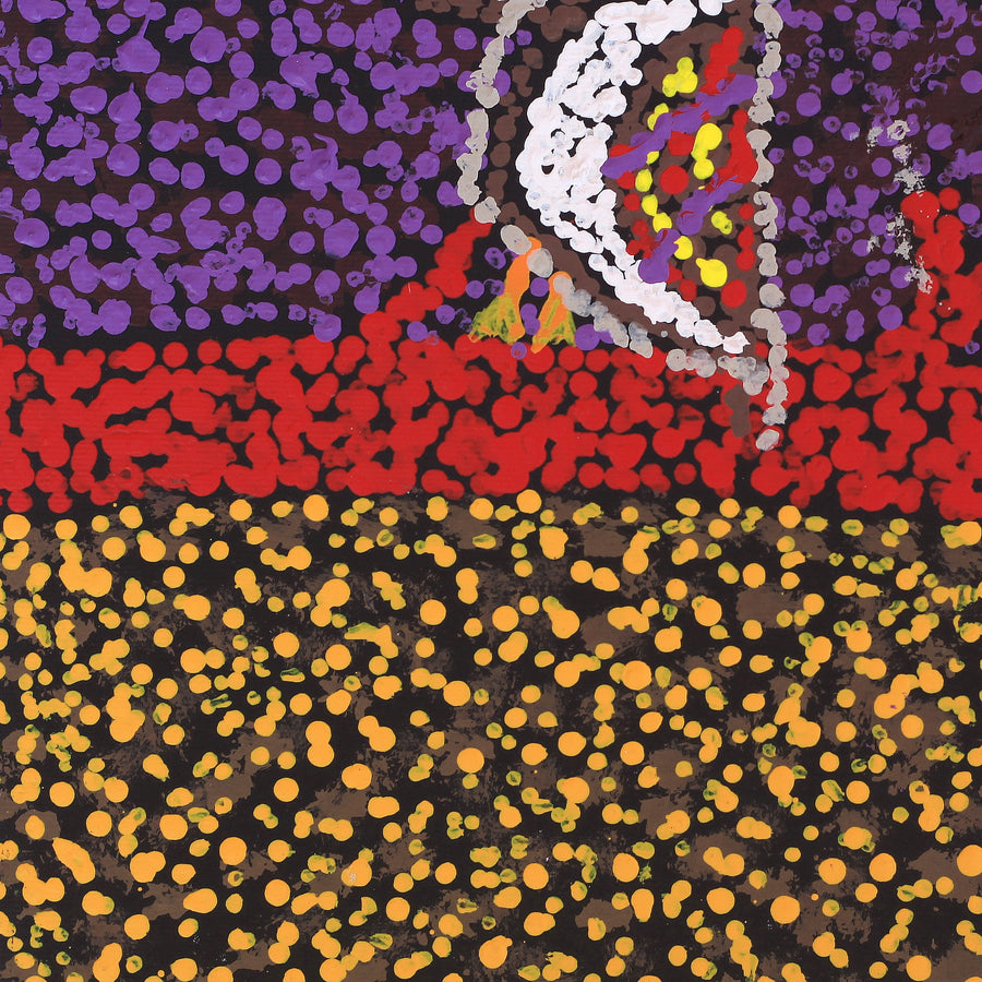 Aboriginal Artwork by Ormay Nangala Gallagher, Jurlpu kuja kalu nyinami Yurntumu-wana (Birds that live around Yuendumu), 30x30cm