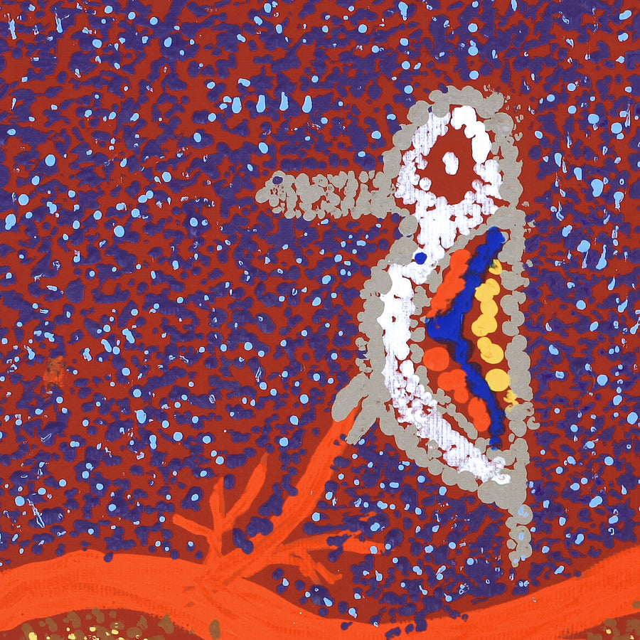 Aboriginal Artwork by Ormay Nangala Gallagher, Jurlpu kuja kalu nyinami Yurntumu-wana (Birds that live around Yuendumu), 30x30cm