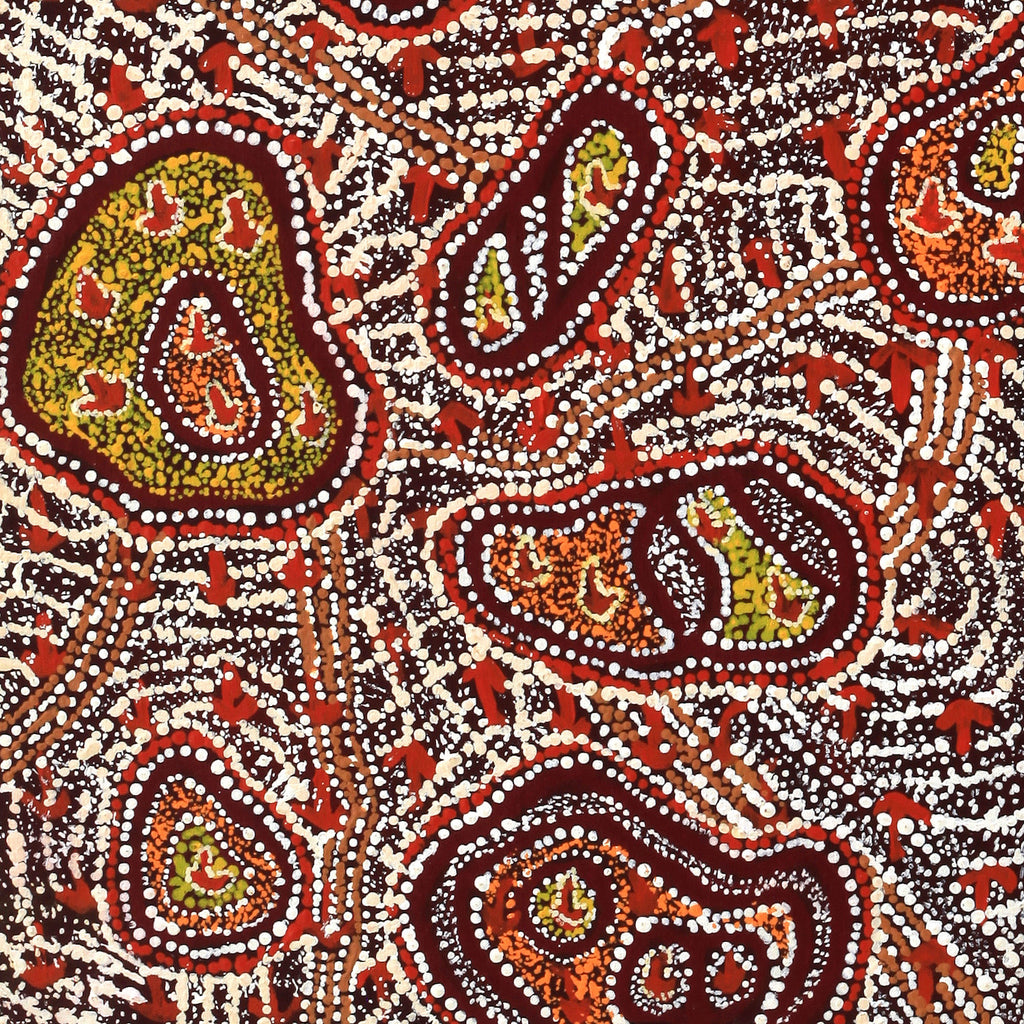 Aboriginal Artwork by Ormay Nangala Gallagher, Ngapa Jukurrpa (Water Dreaming) - Mikanji, 91x46cm