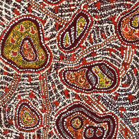 Aboriginal Artwork by Ormay Nangala Gallagher, Ngapa Jukurrpa (Water Dreaming) - Mikanji, 91x46cm