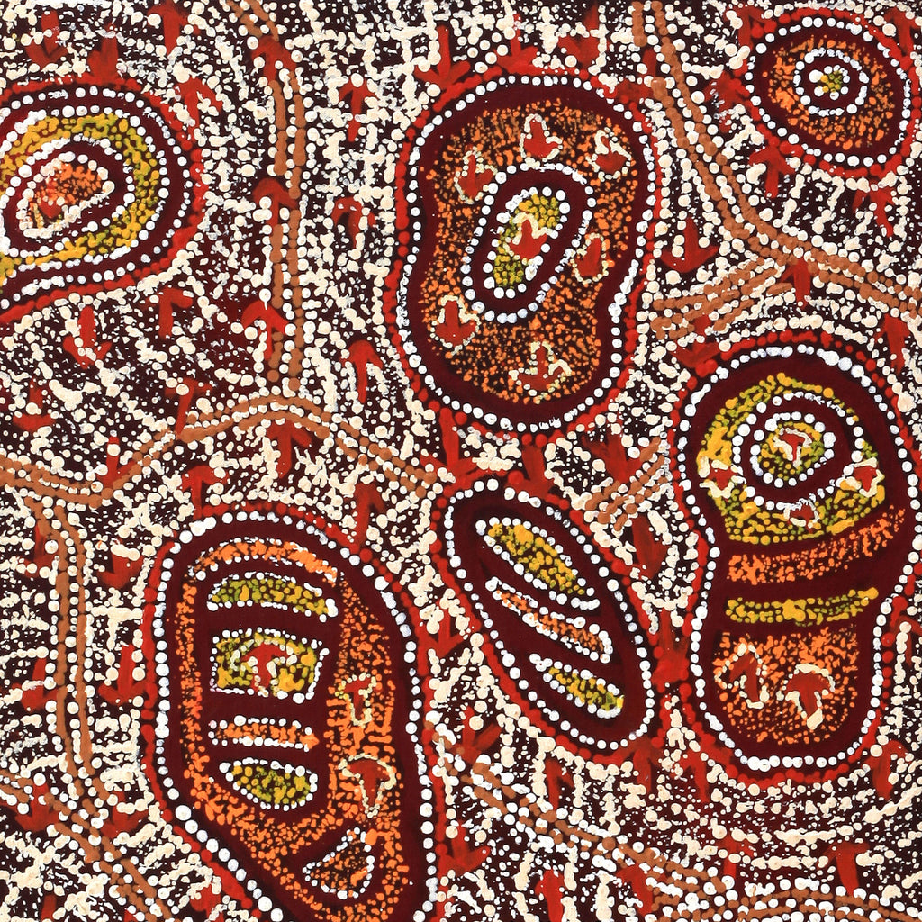 Aboriginal Artwork by Ormay Nangala Gallagher, Ngapa Jukurrpa (Water Dreaming) - Mikanji, 91x46cm