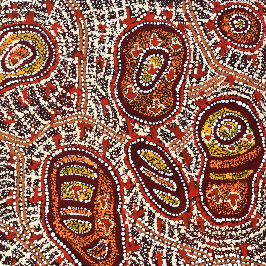 Aboriginal Artwork by Ormay Nangala Gallagher, Ngapa Jukurrpa (Water Dreaming) - Mikanji, 91x46cm
