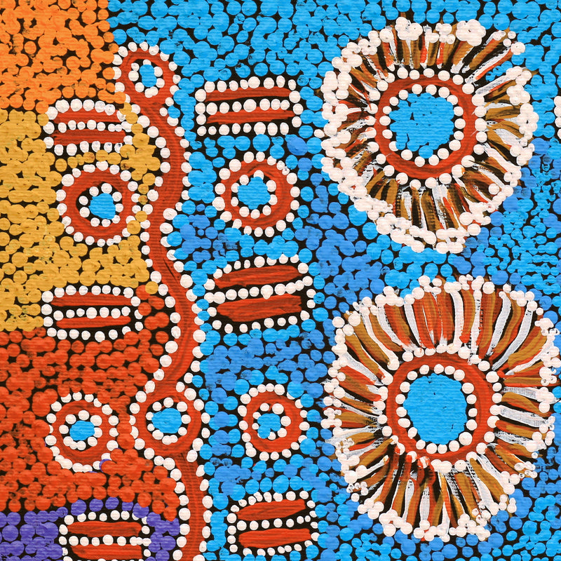 Aboriginal Artwork by Pamela Nangala Sampson, Ngapa Jukurrpa (Water Dreaming) - Mikanji, 30x30cm