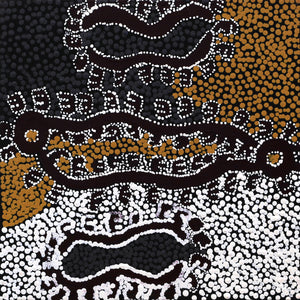 Aboriginal Artwork by Pamela Napurrurla Walker, Yarla Jukurrpa Janganpa Jukurrpa (Brush-tail Possum Dreaming)-  Mawurrji, 30x30cm - ART ARK®