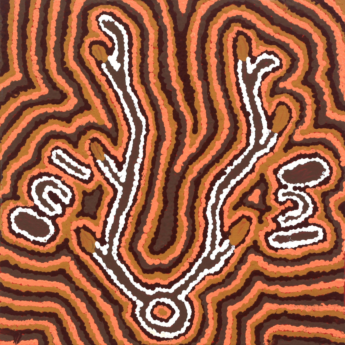 Aboriginal Art by Pamela Napurrurla Walker, Yarla Jukurrpa (Bush Potato Dreaming) - Cockatoo Creek, 30x30cm - ART ARK®