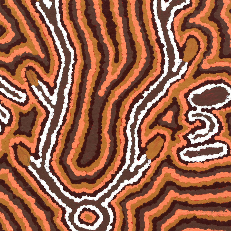 Aboriginal Artwork by Pamela Napurrurla Walker, Yarla Jukurrpa (Bush Potato Dreaming) - Cockatoo Creek, 30x30cm