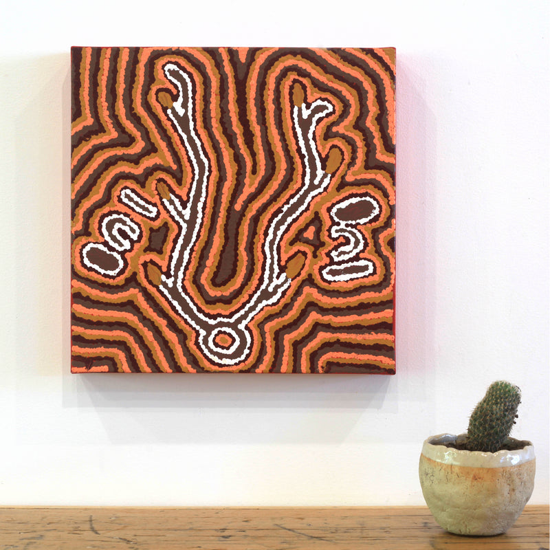 Aboriginal Artwork by Pamela Napurrurla Walker, Yarla Jukurrpa (Bush Potato Dreaming) - Cockatoo Creek, 30x30cm