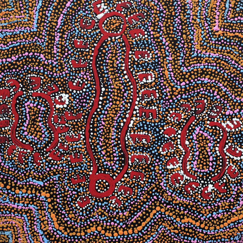Aboriginal Artwork by Pamela Napurrurla Walker, Janganpa Jukurrpa (Brush-tail Possum Dreaming) - Mawurrji, 30x30cm