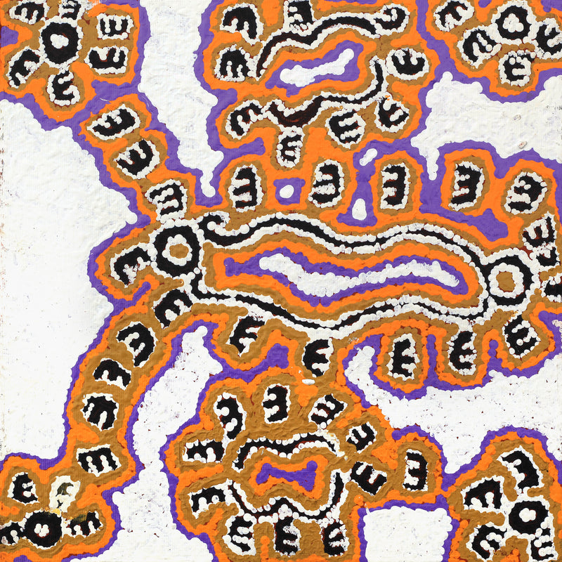 Aboriginal Artwork by Pamela Napurrurla Walker, Janganpa Jukurrpa (Brush-tail Possum Dreaming) - Mawurrji, 30x30cm