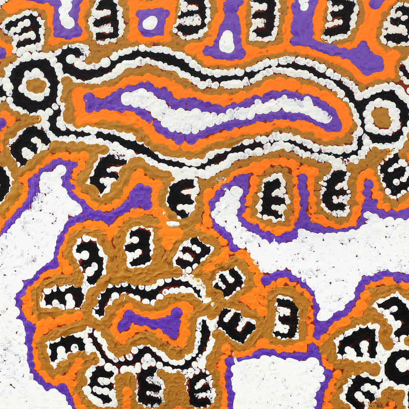 Aboriginal Artwork by Pamela Napurrurla Walker, Janganpa Jukurrpa (Brush-tail Possum Dreaming) - Mawurrji, 30x30cm