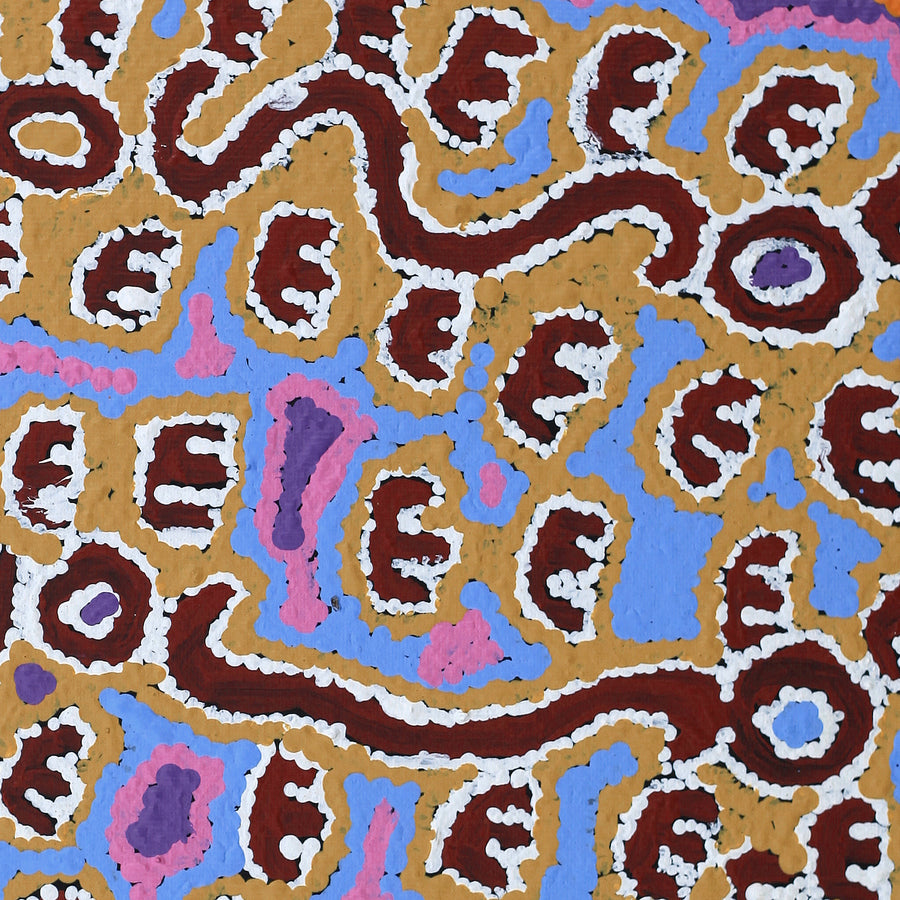 Aboriginal Artwork by Pamela Napurrurla Walker, Janganpa Jukurrpa (Brush-tail Possum Dreaming) - Mawurrji, 30x30cm