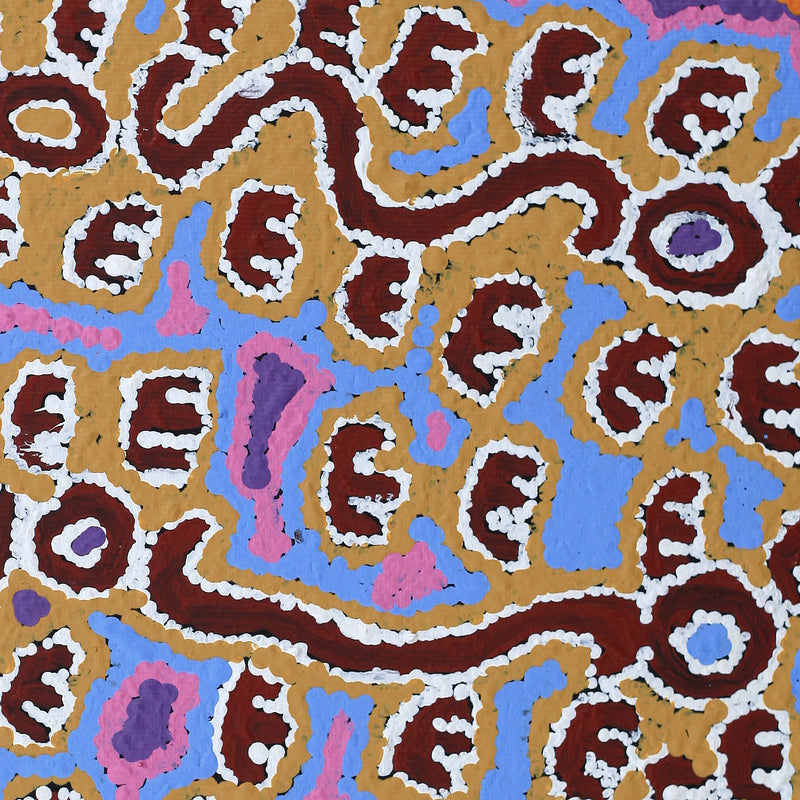 Aboriginal Artwork by Pamela Napurrurla Walker, Janganpa Jukurrpa (Brush-tail Possum Dreaming) - Mawurrji, 30x30cm