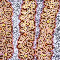 Aboriginal Artwork by Pamela Napurrurla Walker, Janganpa Jukurrpa (Brush-tail Possum Dreaming) - Mawurrji, 46x46cm