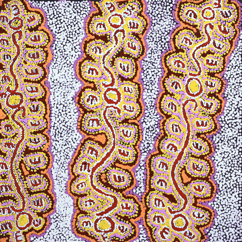 Aboriginal Artwork by Pamela Napurrurla Walker, Janganpa Jukurrpa (Brush-tail Possum Dreaming) - Mawurrji, 46x46cm