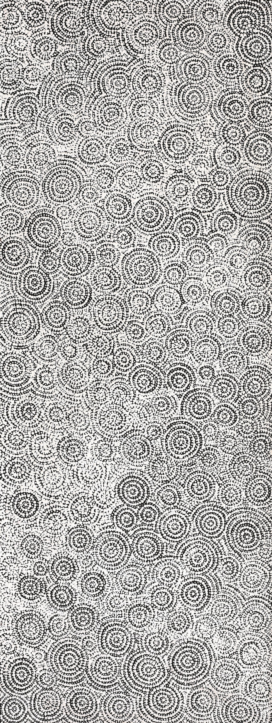 Aboriginal Artwork by Patricia Nakamarra Oldfield, Warna Jukurrpa (Snake Dreaming), 122x46cm