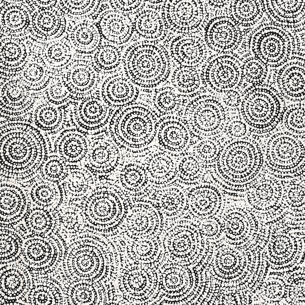 Aboriginal Artwork by Patricia Nakamarra Oldfield, Warna Jukurrpa (Snake Dreaming), 122x46cm