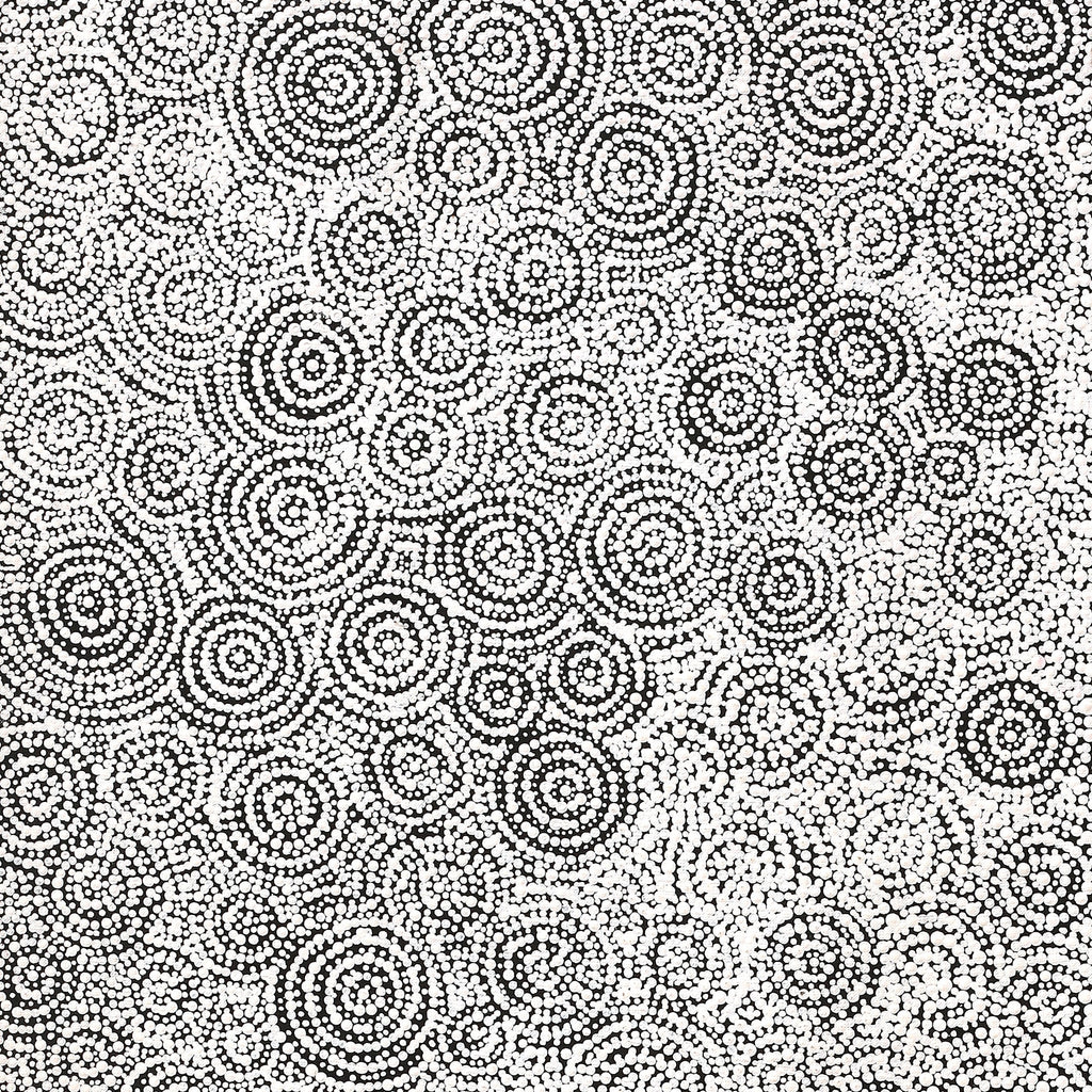 Aboriginal Artwork by Patricia Nakamarra Oldfield, Warna Jukurrpa (Snake Dreaming), 122x46cm