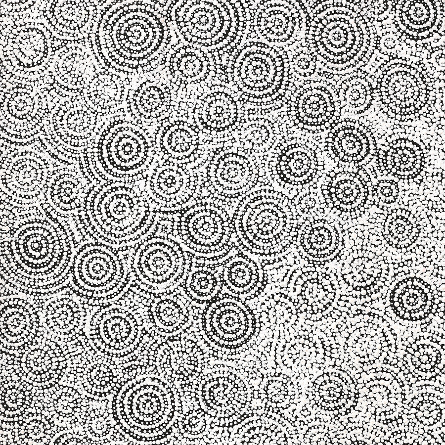 Aboriginal Artwork by Patricia Nakamarra Oldfield, Warna Jukurrpa (Snake Dreaming), 122x46cm
