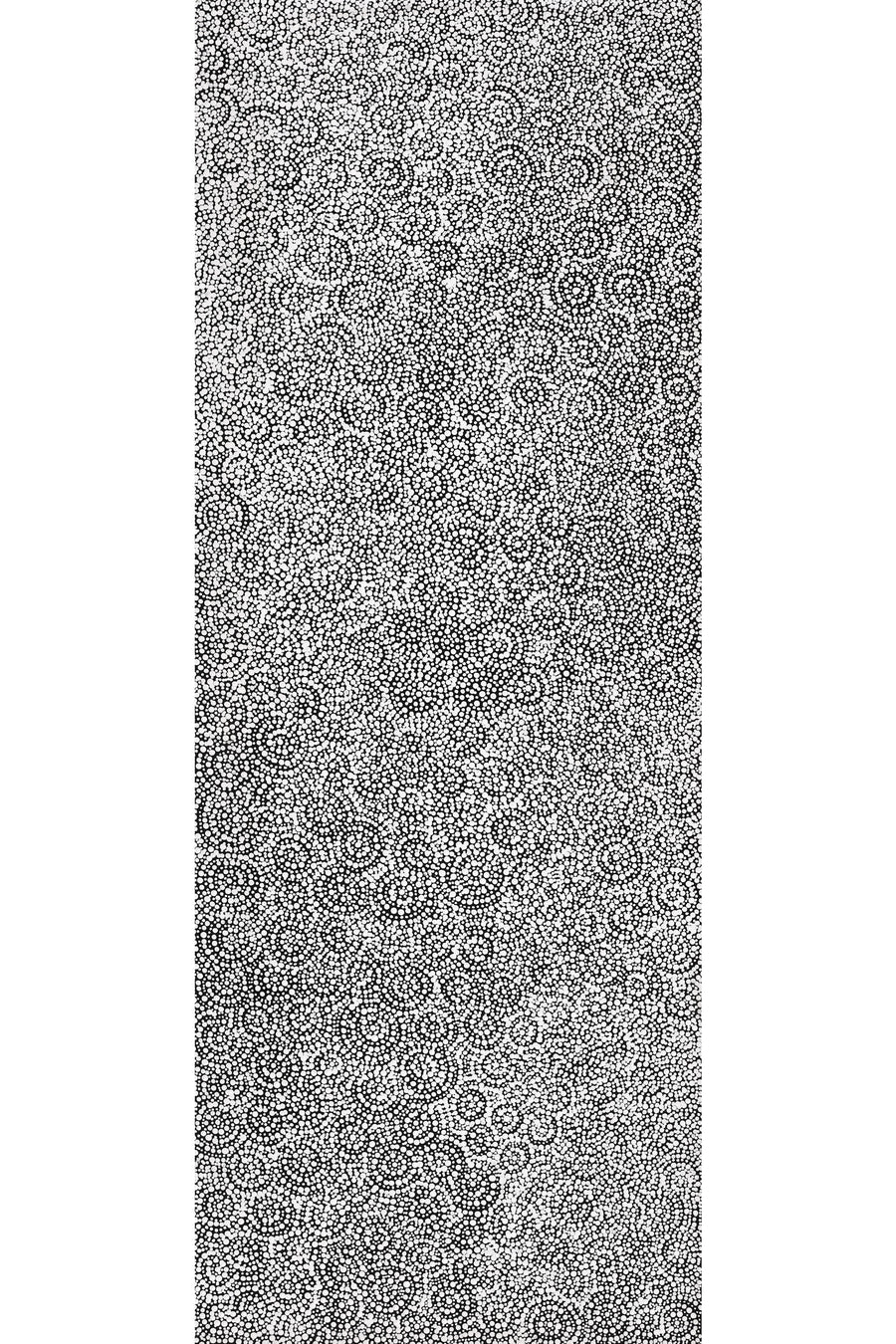 Aboriginal Artwork by Patricia Nakamarra Oldfield, Warna Jukurrpa (Snake Dreaming), 122x46cm