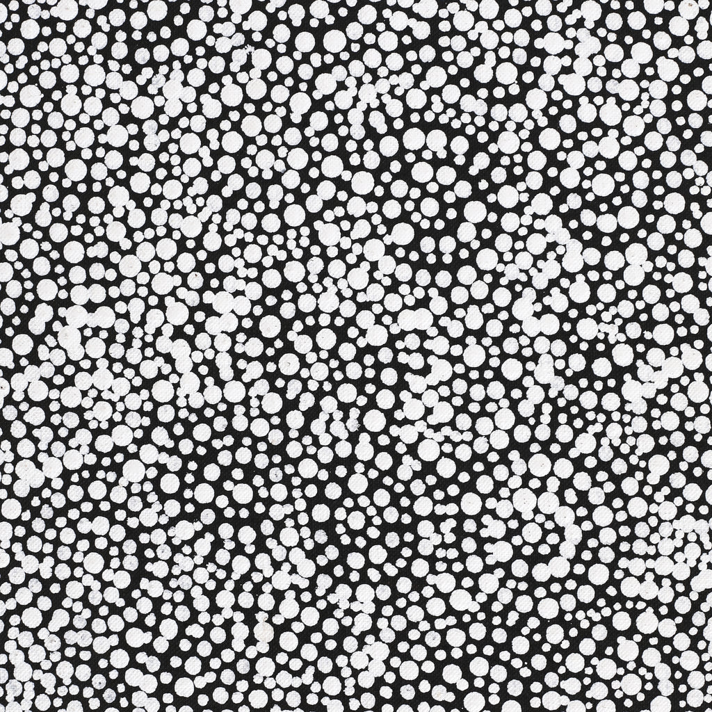 Aboriginal Artwork by Patricia Nakamarra Oldfield, Warna Jukurrpa (Snake Dreaming), 122x46cm