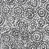Aboriginal Artwork by Patricia Nakamarra Oldfield, Warna Jukurrpa (Snake Dreaming), 122x46cm
