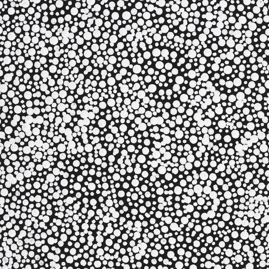 Aboriginal Artwork by Patricia Nakamarra Oldfield, Warna Jukurrpa (Snake Dreaming), 122x46cm
