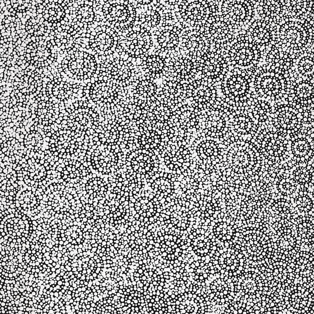 Aboriginal Artwork by Patricia Nakamarra Oldfield, Warna Jukurrpa (Snake Dreaming), 122x46cm