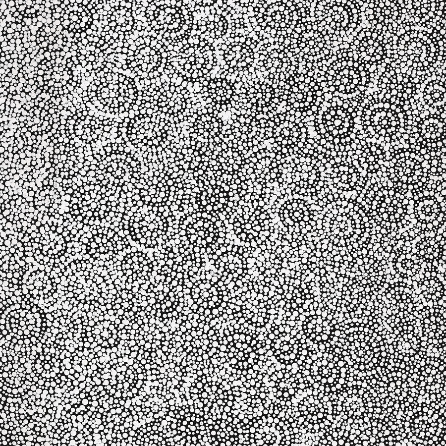 Aboriginal Artwork by Patricia Nakamarra Oldfield, Warna Jukurrpa (Snake Dreaming), 122x46cm