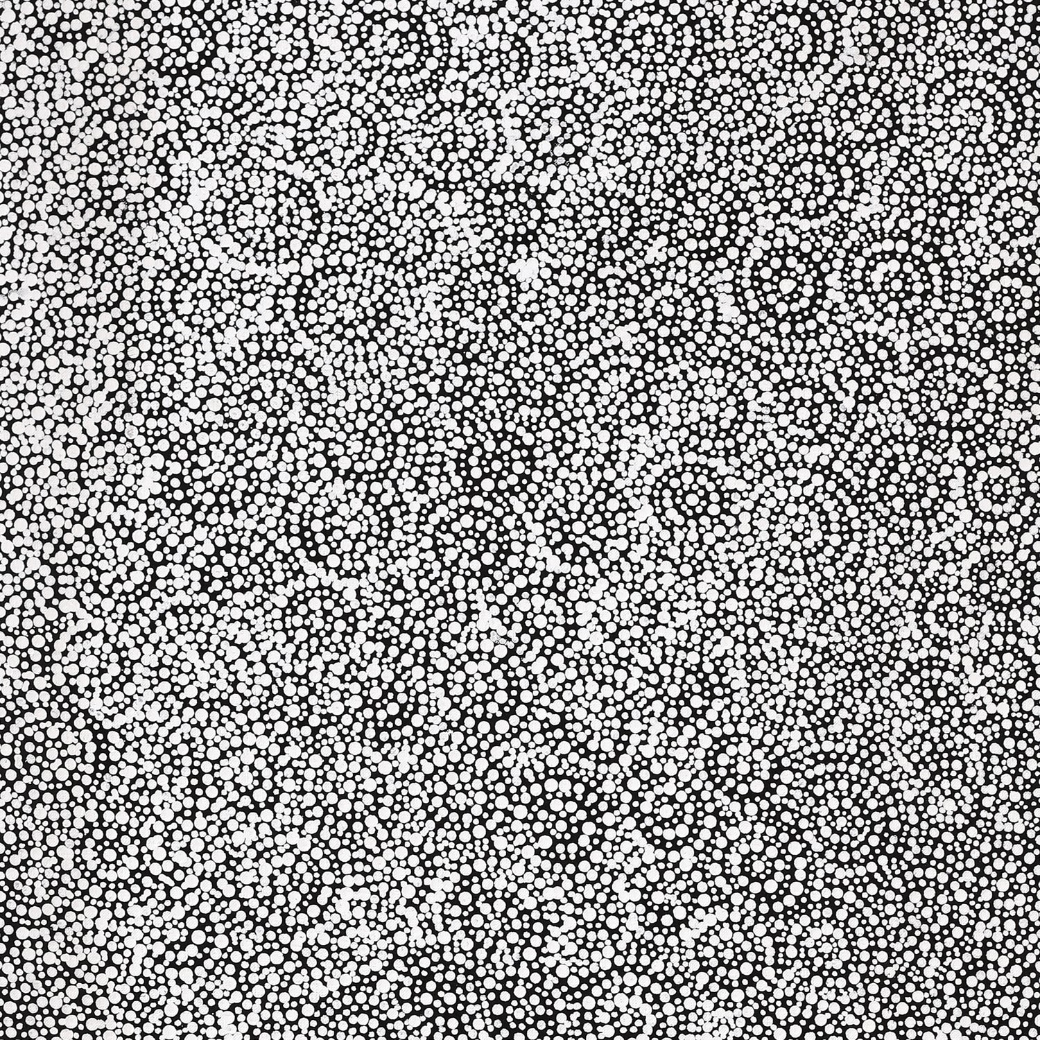 Painting 61x46cm Patricia Nakamarra Oldfield Warna Jukurrpa (Snake Dreaming) - Warlukurlangu main image 0