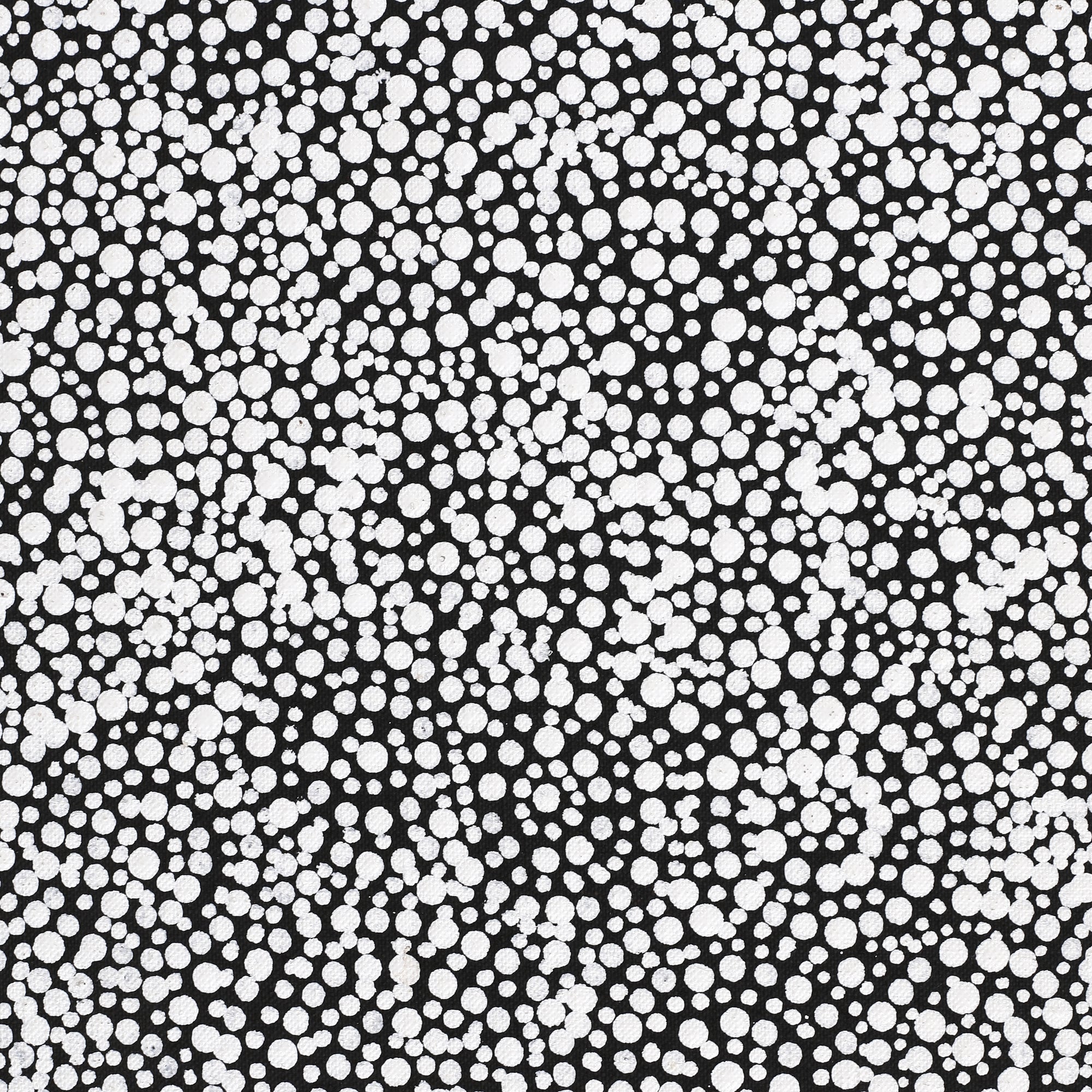 Painting 46x30cm Patricia Nakamarra Oldfield Warna Jukurrpa (Snake Dreaming) - Warlukurlangu