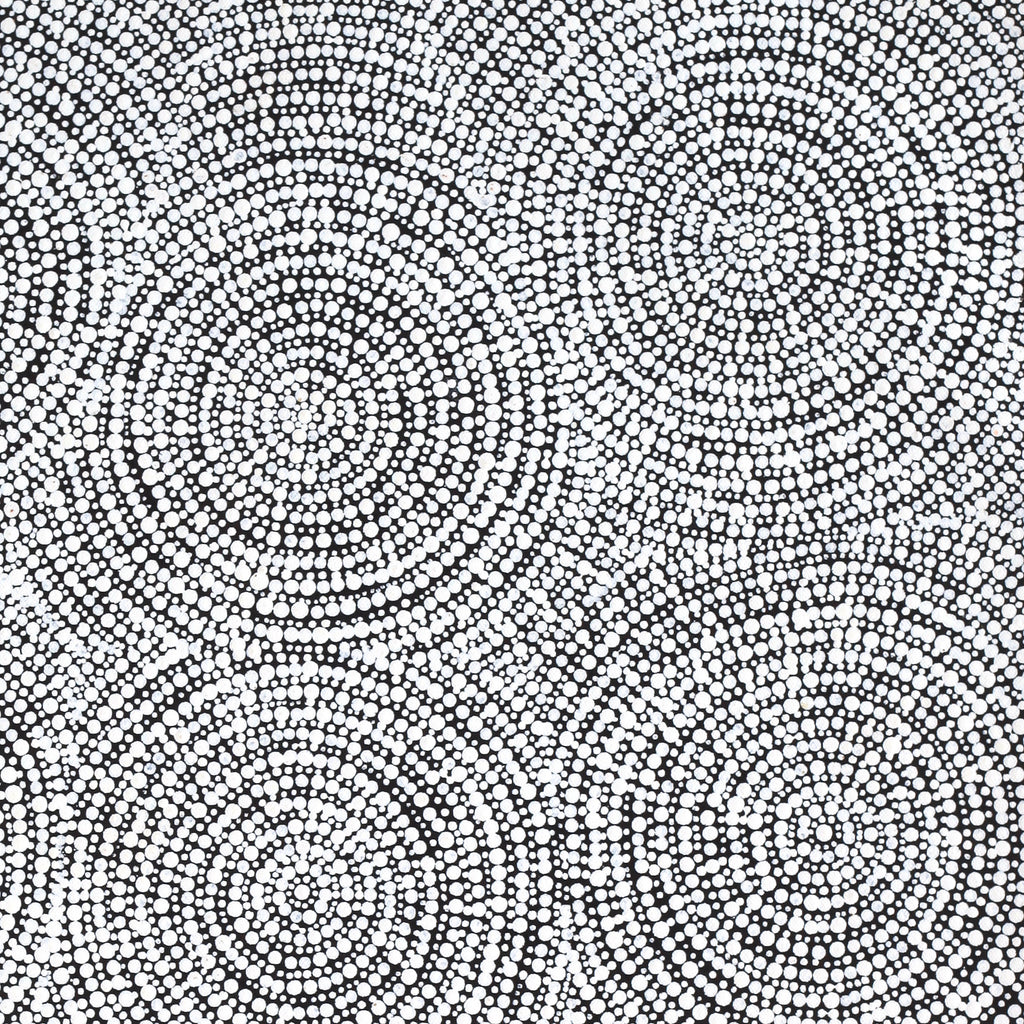 Aboriginal Artwork by Patricia Nakamarra Oldfield, Warna Jukurrpa (Snake Dreaming), 61x46cm