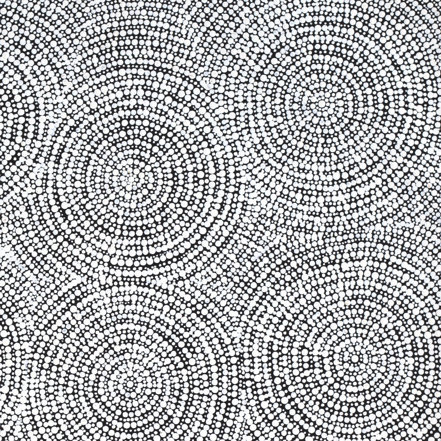 Aboriginal Artwork by Patricia Nakamarra Oldfield, Warna Jukurrpa (Snake Dreaming), 61x46cm