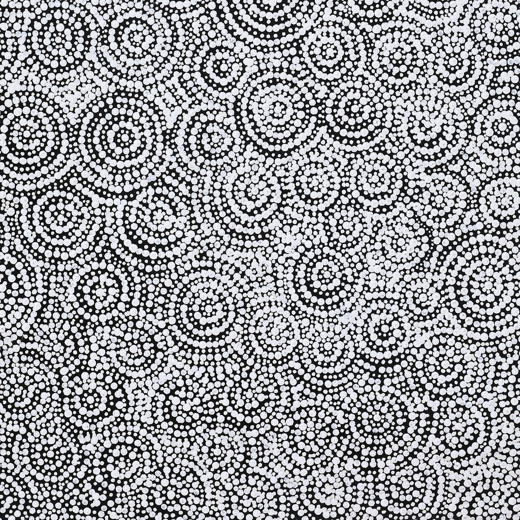 Aboriginal Artwork by Patricia Nakamarra Oldfield, Warna Jukurrpa (Snake Dreaming), 76x61cm
