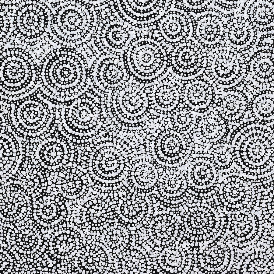 Aboriginal Artwork by Patricia Nakamarra Oldfield, Warna Jukurrpa (Snake Dreaming), 76x61cm