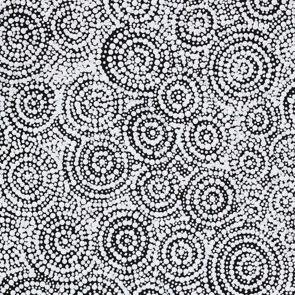 Aboriginal Artwork by Patricia Nakamarra Oldfield, Warna Jukurrpa (Snake Dreaming), 76x61cm