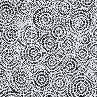 Aboriginal Artwork by Patricia Nakamarra Oldfield, Warna Jukurrpa (Snake Dreaming), 76x61cm