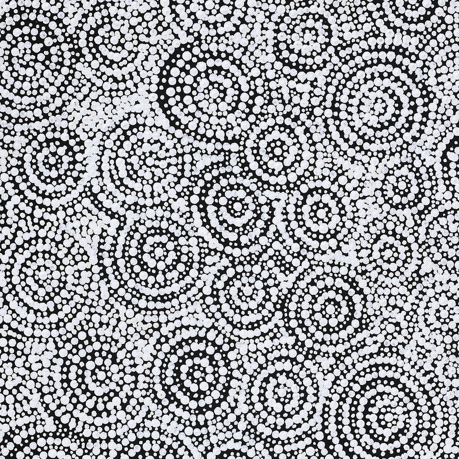 Aboriginal Artwork by Patricia Nakamarra Oldfield, Warna Jukurrpa (Snake Dreaming), 76x61cm