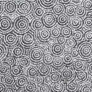 Aboriginal Art by Patricia Nakamarra Oldfield, Warna Jukurrpa (Snake Dreaming), 76x61cm - ART ARK®