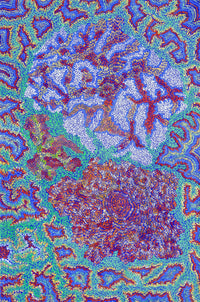 Aboriginal Artwork by Patricia Multa, Bush flowers and seeds, 120x80cm