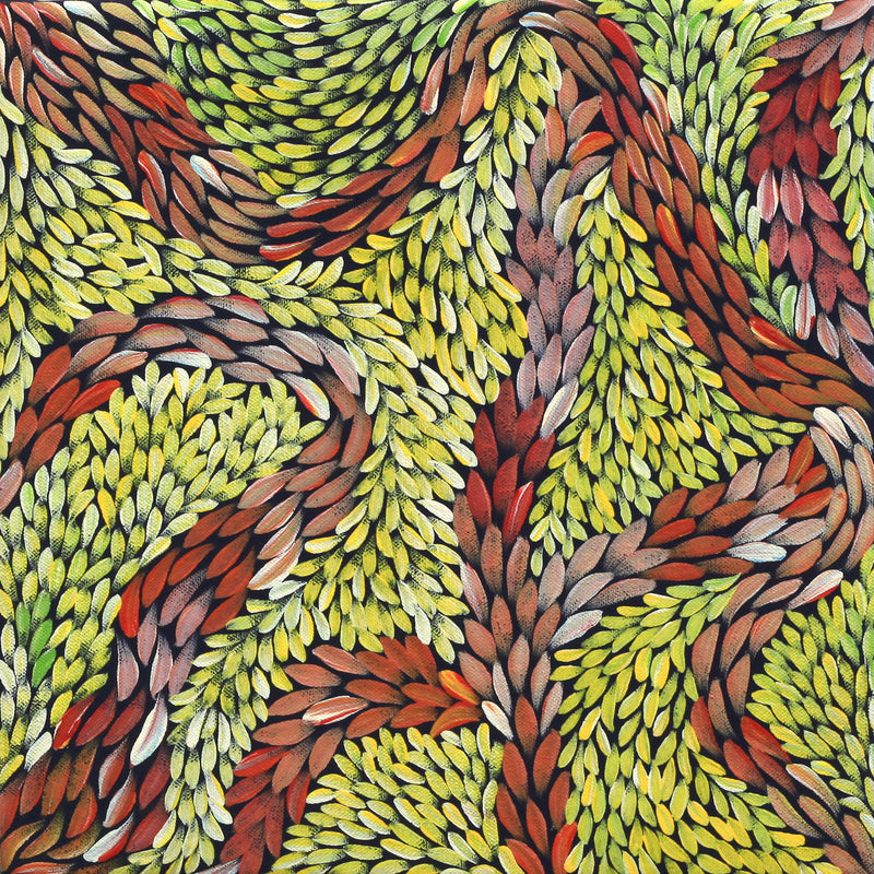 Aboriginal Artwork by Patricia Multa, Bush flowers and seeds, 30x30cm
