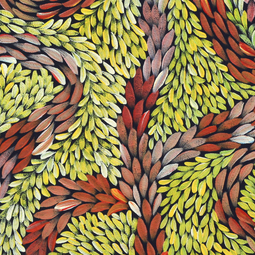Aboriginal Artwork by Patricia Multa, Bush flowers and seeds, 30x30cm