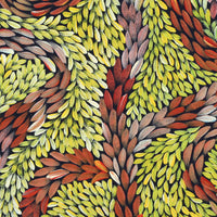 Aboriginal Artwork by Patricia Multa, Bush flowers and seeds, 30x30cm